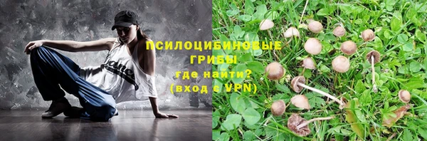 ECSTASY Алексин