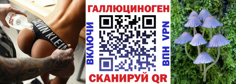 Псилоцибиновые грибы Magic Shrooms  Купить где  Верхотурье 